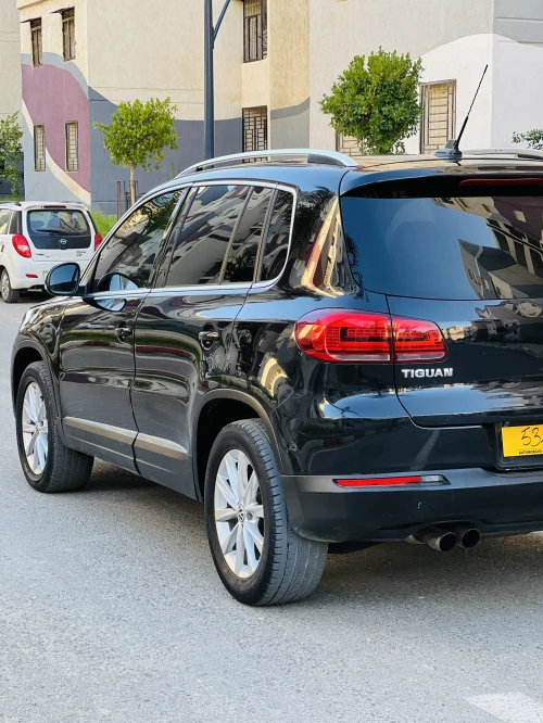 Volkswagen Tiguan 2010 Carat +