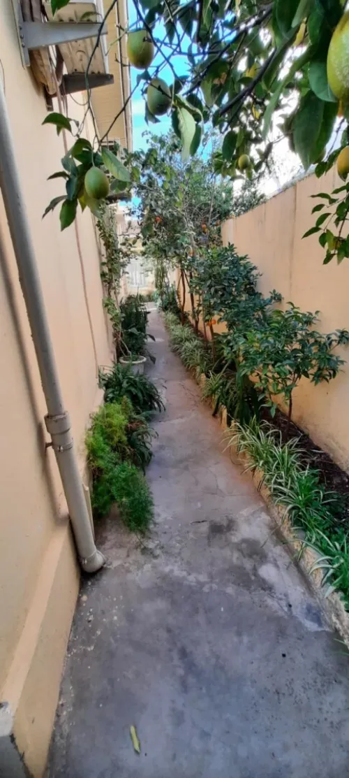 Vente Villa Blida Blida