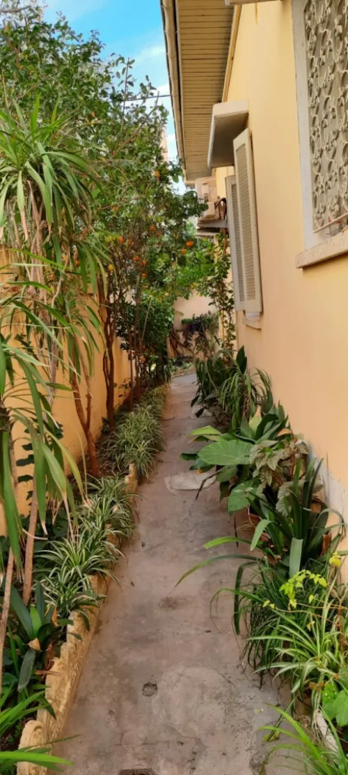 Vente Villa Blida Blida
