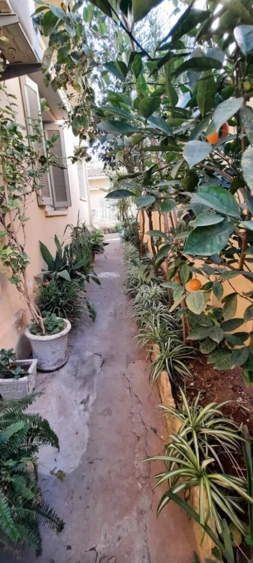 Vente Villa Blida Blida