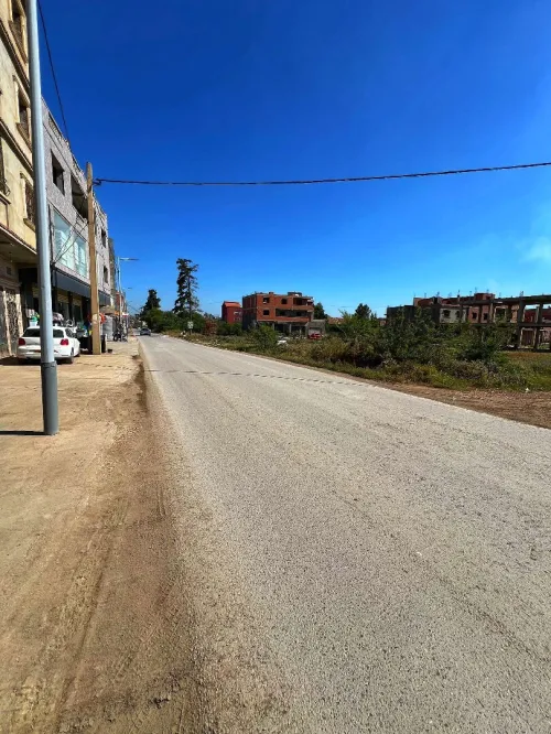 Vente Terrain Blida Boufarik