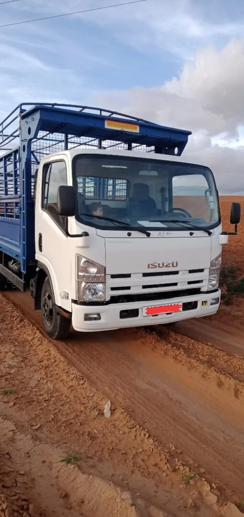 Isuzu NPR 2013