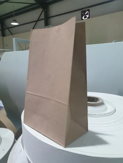 Sac 1kg 2 kg en papier kraft 