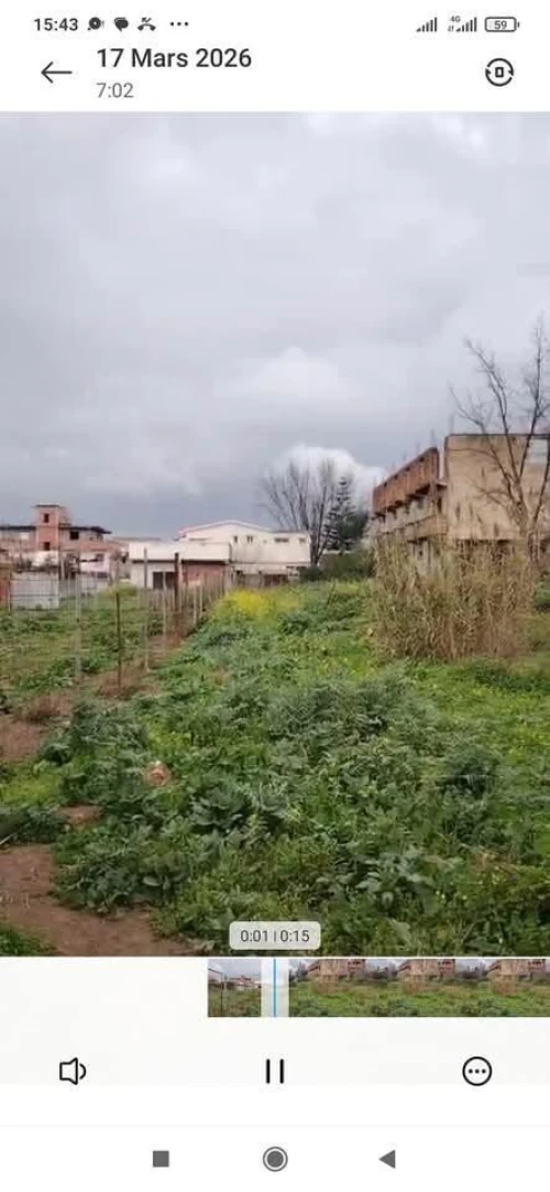 Vente Terrain Alger Ouled chebel
