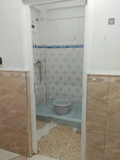 Location Appartement F2 Alger Les eucalyptus