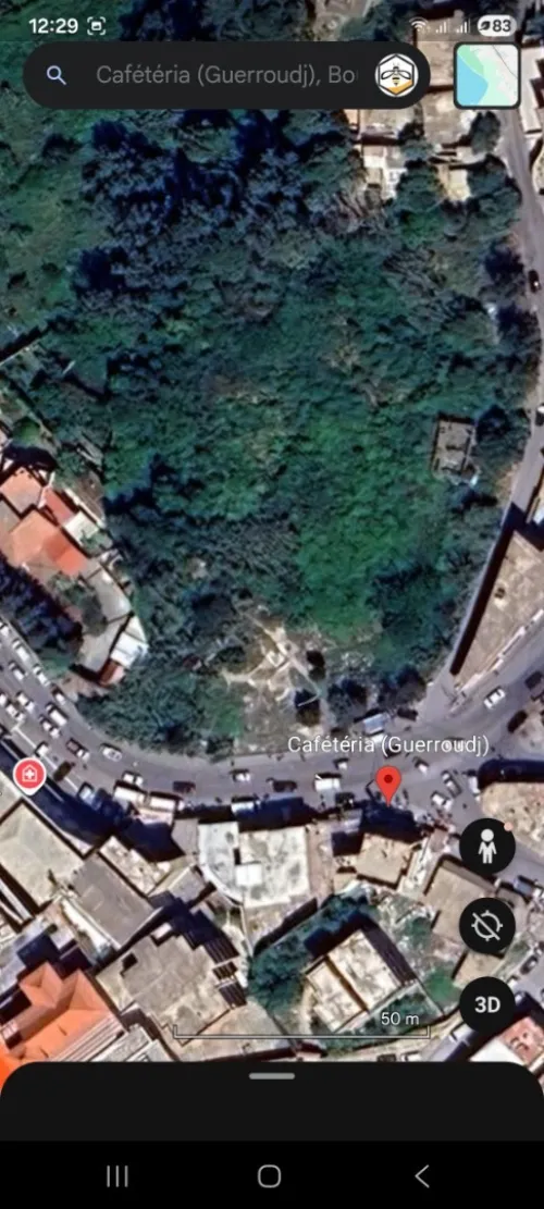 Vente Terrain Alger Bouzareah