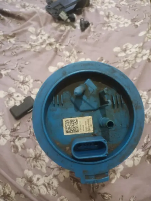بومبا اسونس