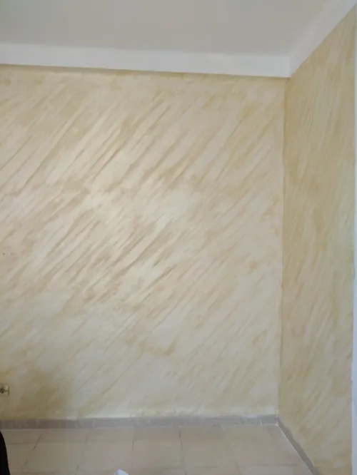 Equipe de peinture pro
