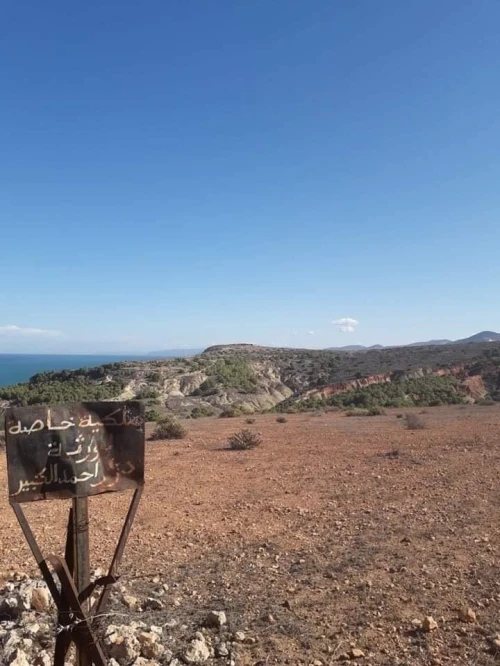 Vente Terrain Tlemcen Msirda fouaga