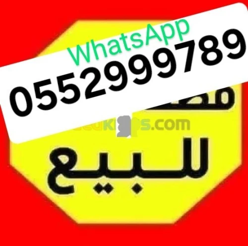 Vente Terrain Blida Bougara