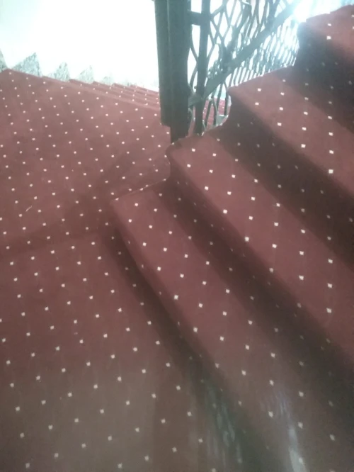 Moquette salon
