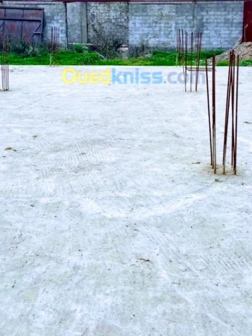 Vente Terrain Blida Bougara