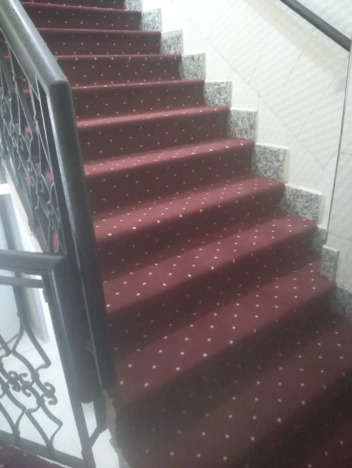 Moquette salon
