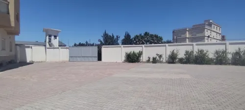 Location Hangar Blida Boufarik