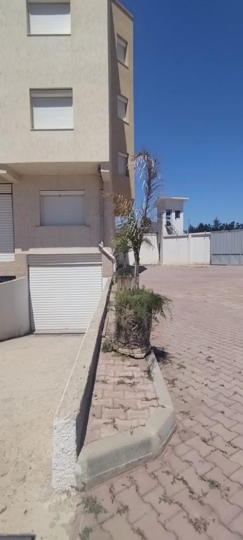 Location Hangar Blida Boufarik