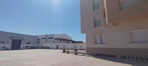 Location Hangar Blida Boufarik