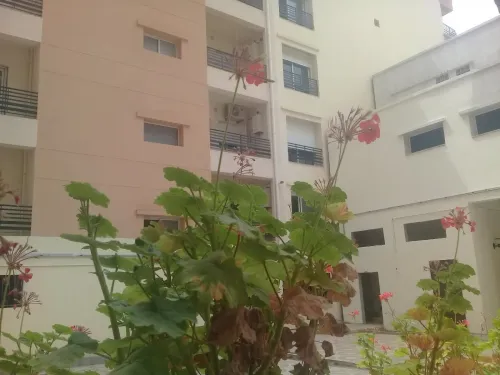 Vente Appartement F3 Alger Draria
