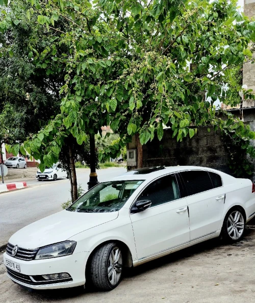 Volkswagen Passat 2011 La carat