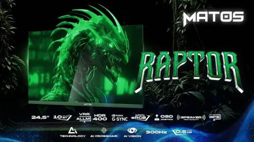 Monitor raptor 300hz