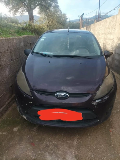 Ford Fiesta 2010 Fiesta
