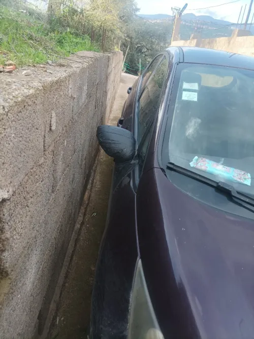 Ford Fiesta 2010 Fiesta