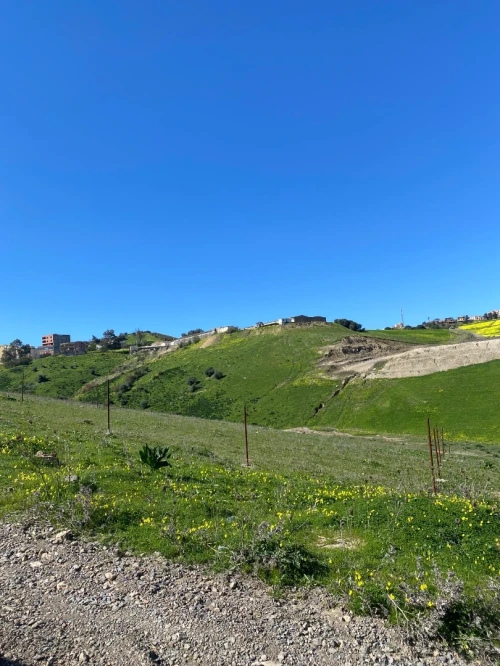 Vente Terrain Alger Mahelma