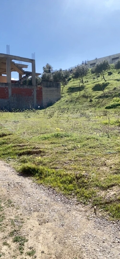 Vente Terrain Alger Mahelma