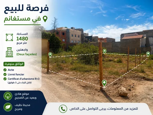 Vente Terrain Mostaganem Mostaganem