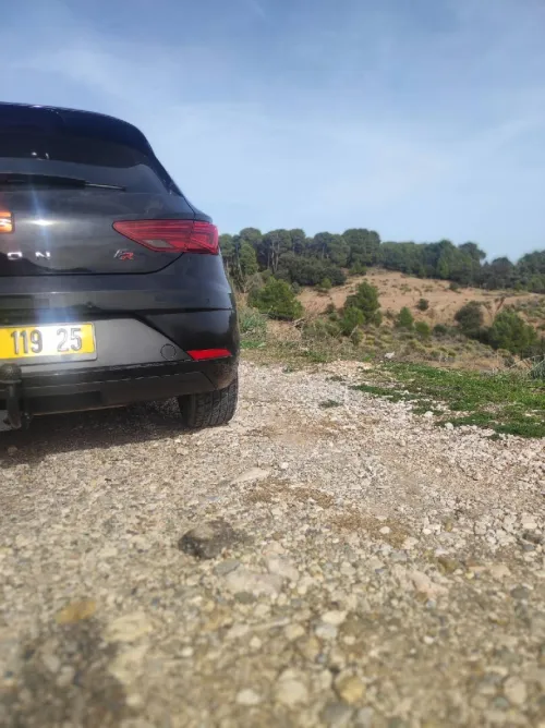 Seat beats 2019 