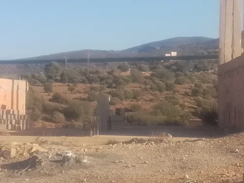 Vente Terrain Tlemcen Tlemcen