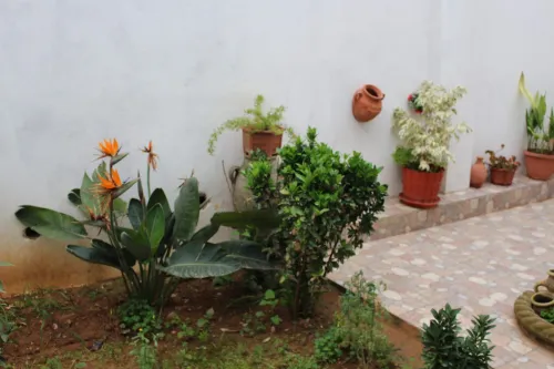 Location vacances Villa Jijel Ziama mansouriah