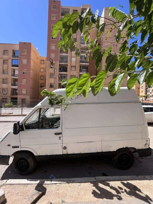 Renault Trafic 1991 Bas