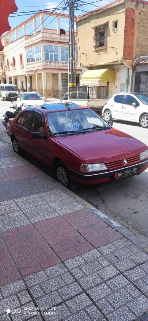 Peugeot 405 1995 405