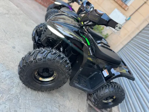 NIU Cavallo Quad électrique 2025