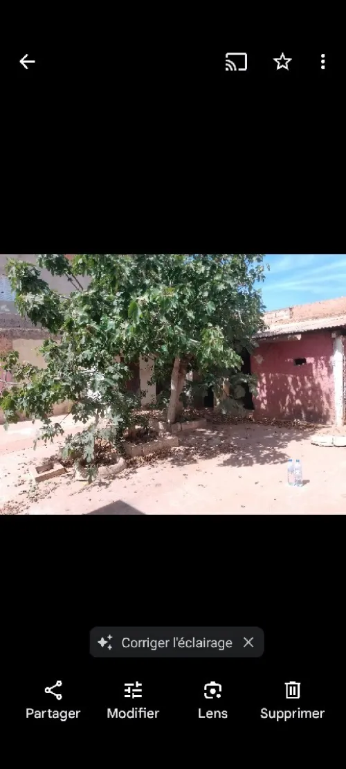 Vente Terrain Mostaganem Fornaka