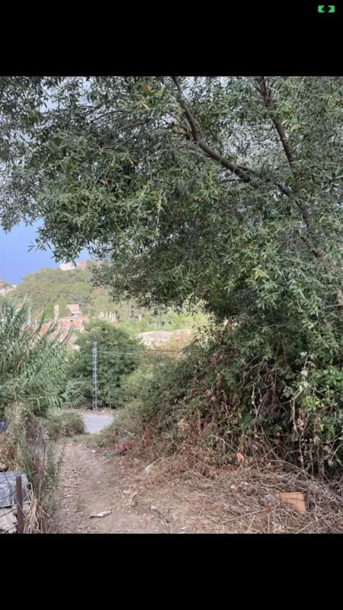 Vente Terrain Skikda Collo