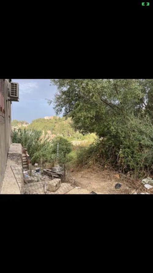 Vente Terrain Skikda Collo