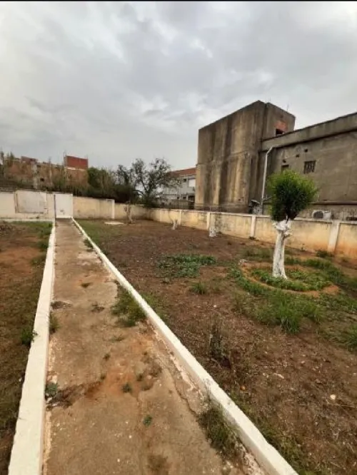 Vente Villa Alger Birkhadem