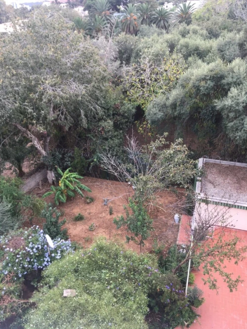 Location Villa Alger Alger centre