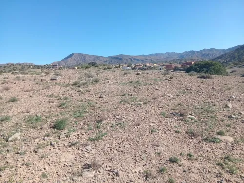 Vente Terrain Béjaïa Boudjellil