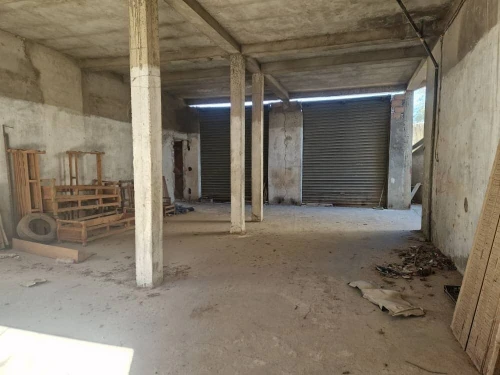Vente Terrain Alger Les eucalyptus