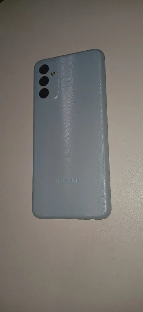 Samsung Galaxy F13
