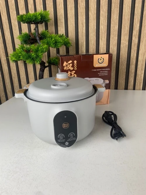 Cuiseur Electrique Multifonctionnel pour la Cuisine 20cm  جهاز طهي محمول
