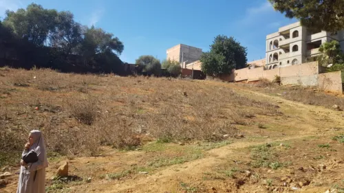 Vente Terrain Alger Saoula