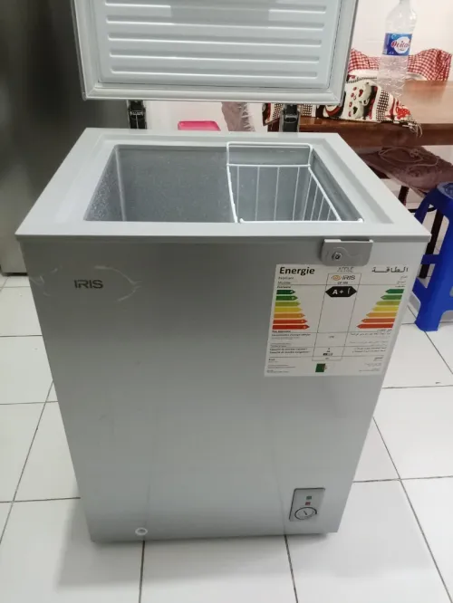 Congélateur IRIS 100L