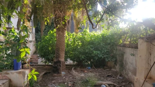 Vente Villa Oran Ain el turck