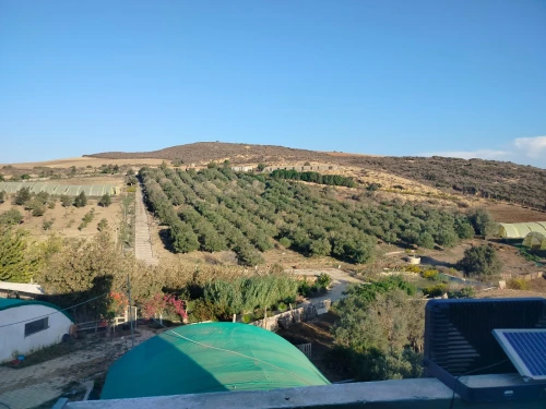 Vente Terrain Agricole Oran Ain el kerma
