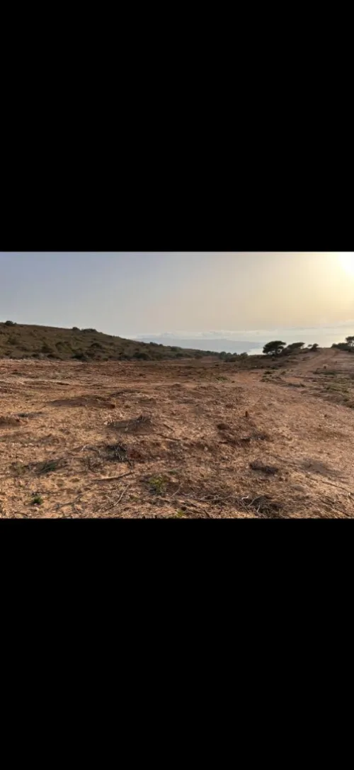 Vente Terrain Agricole Oran Ain el kerma