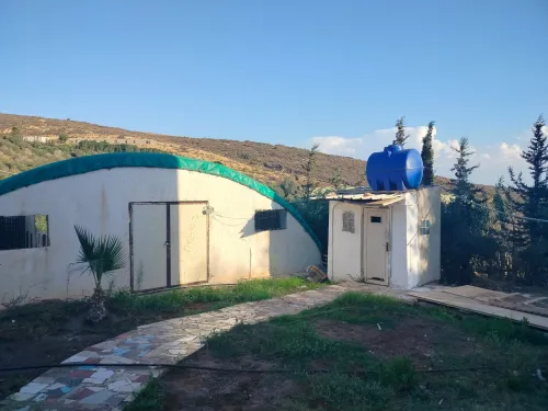Vente Terrain Agricole Oran Ain el kerma