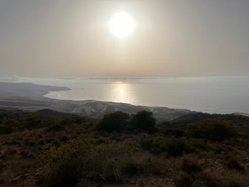 Vente Terrain Agricole Oran Ain el kerma